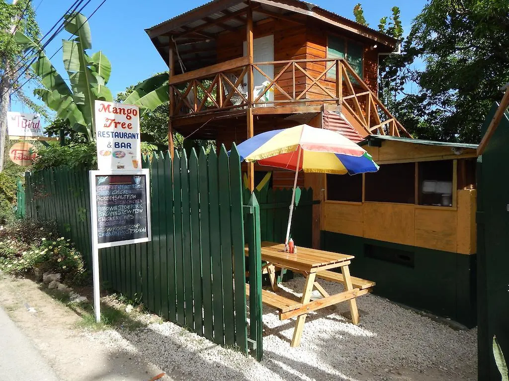 Hotel T-Bird On The Cliffs Negril Pensión